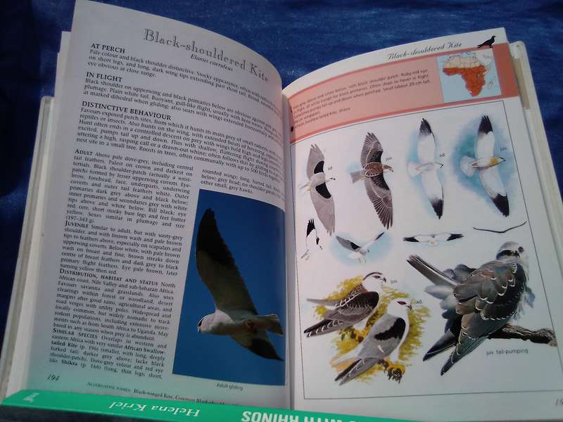 "Sasol Birds of Prey" soft cover.