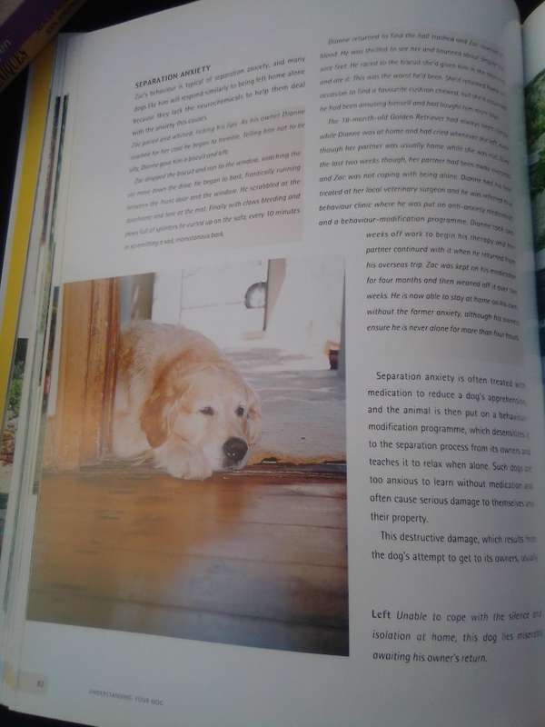 "Understanging your Dog"  Hard cover.