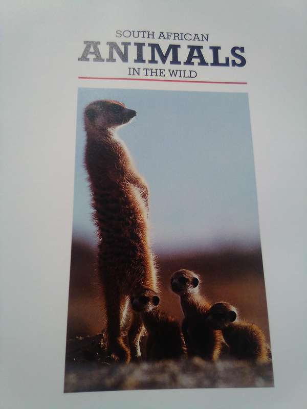 "South African Animals in the Wild"  Anthony Banister.  Hard cover.