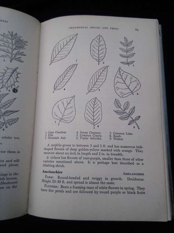 1962. "Ornamental Shrubs and Trees" Hard cover .over.