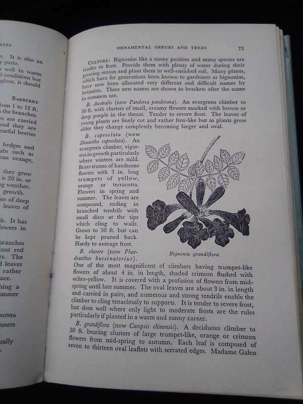 1962. "Ornamental Shrubs and Trees" Hard cover .over.