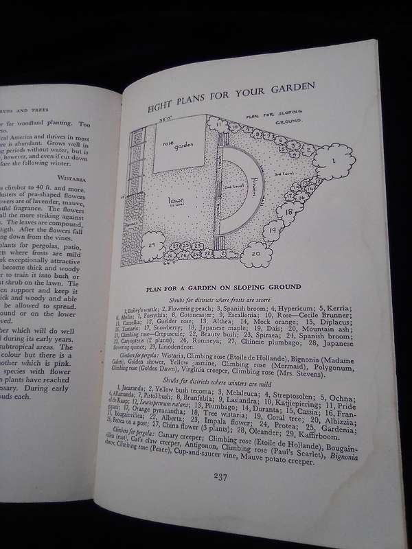 1962. "Ornamental Shrubs and Trees" Hard cover .over.