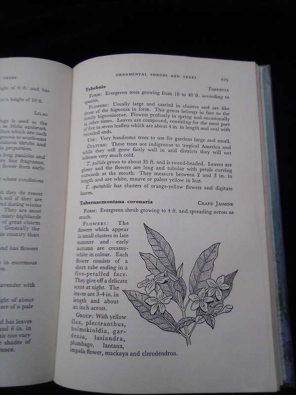1962. "Ornamental Shrubs and Trees" Hard cover .over.