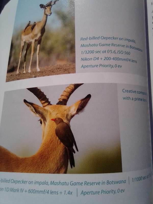 "How and Where to Photograph Birds in Southern Africa'. Soft   cover.