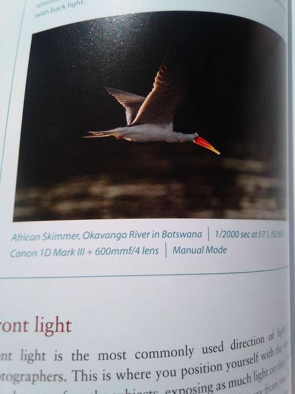 "How and Where to Photograph Birds in Southern Africa'. Soft   cover.