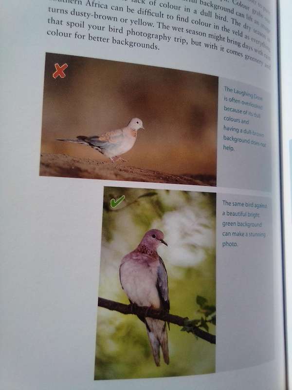 "How and Where to Photograph Birds in Southern Africa'. Soft   cover.