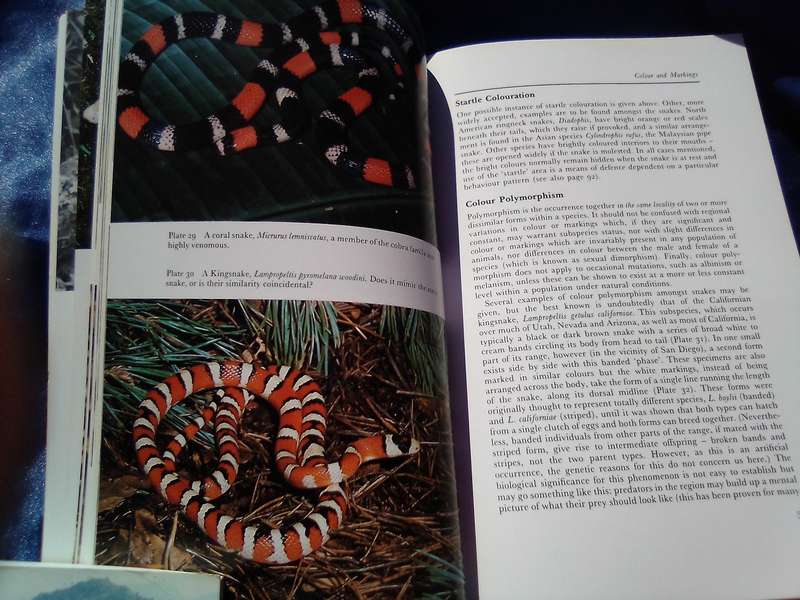"Snakes of the World'. Soft cover.
