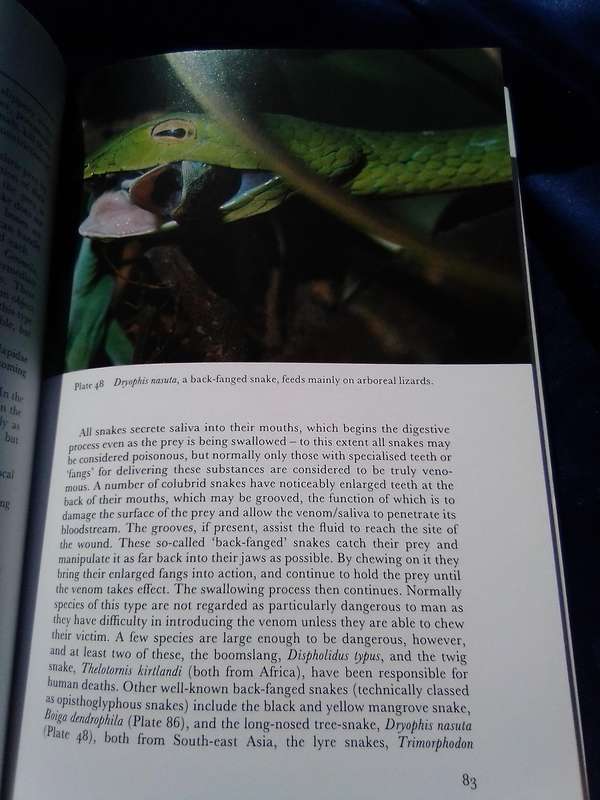 "Snakes of the World'. Soft cover.