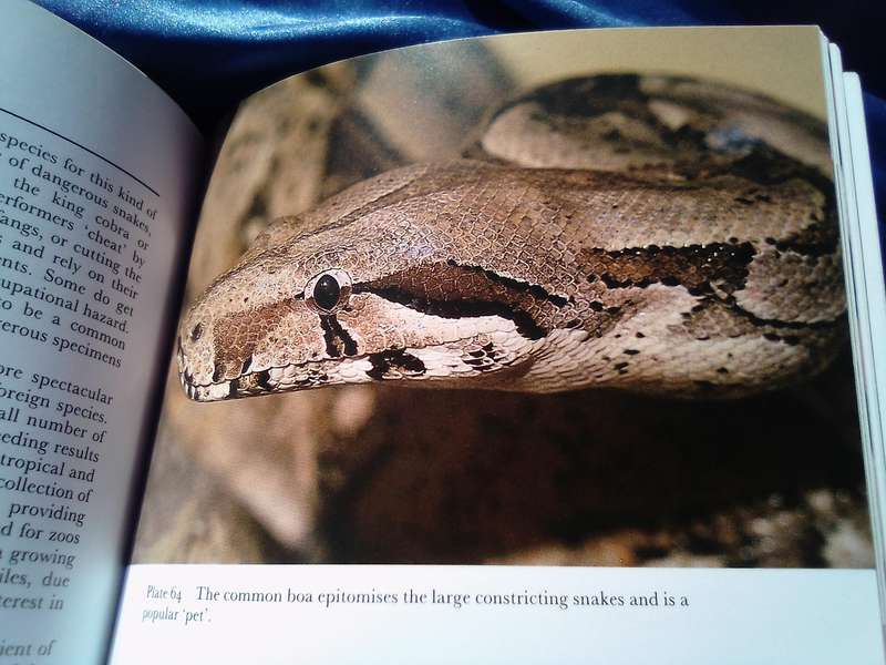 "Snakes of the World'. Soft cover.