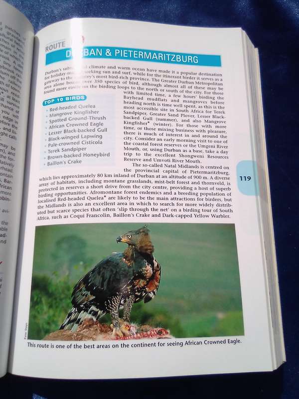 "Sasol Southern African  Bird Finder"  Soft cover.