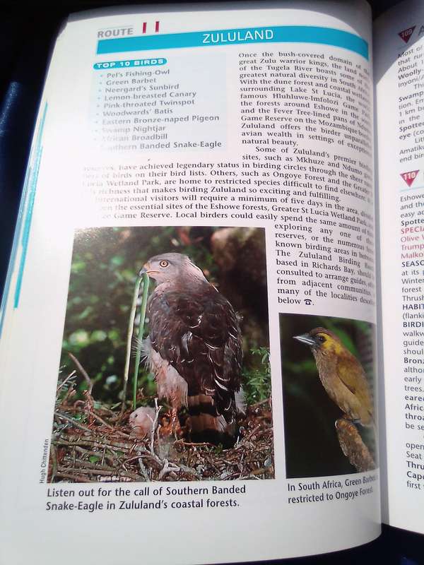 "Sasol Southern African  Bird Finder"  Soft cover.