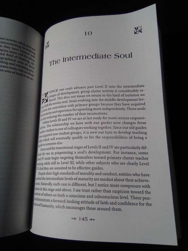 "Journey of Souls". Case Studies of Life Between Lives. Soft cover.