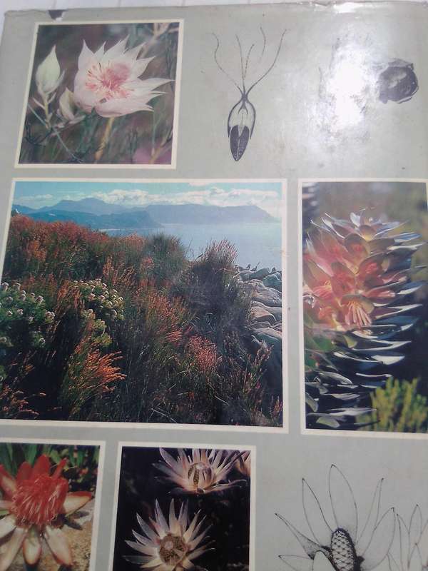 "South Africa's Proteaceae" Hard  cover.