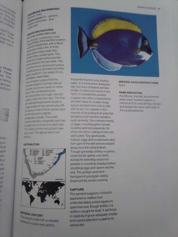 "A Guide to the Common Sea  Fishes of Southern Africa"  Hard copy.