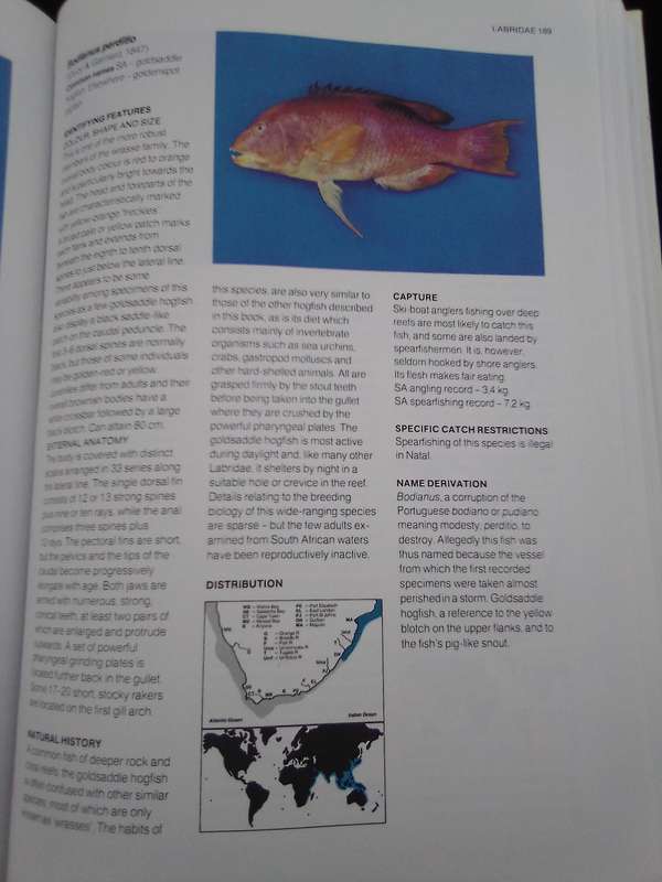 "A Guide to the Common Sea  Fishes of Southern Africa"  Hard copy.