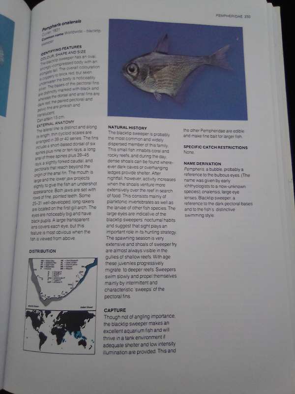 "A Guide to the Common Sea  Fishes of Southern Africa"  Hard copy.