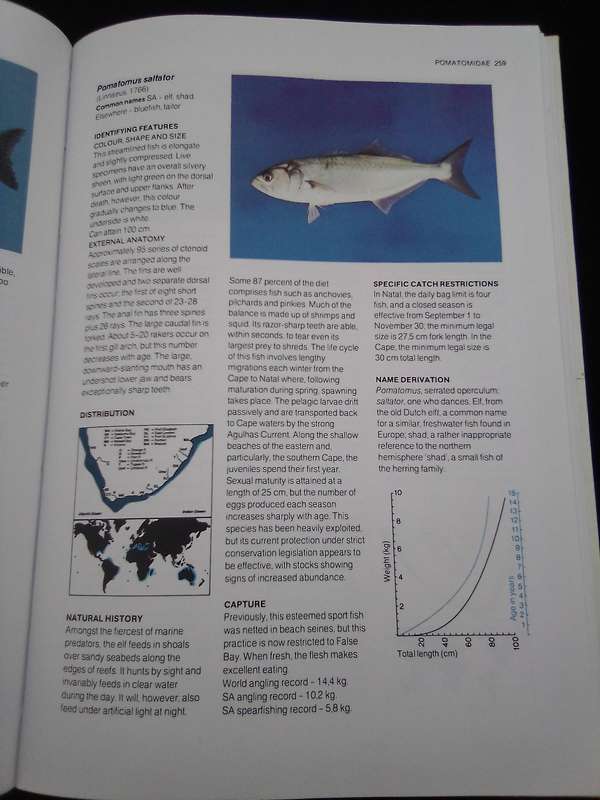 "A Guide to the Common Sea  Fishes of Southern Africa"  Hard copy.