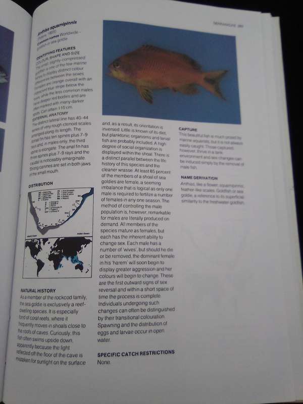 "A Guide to the Common Sea  Fishes of Southern Africa"  Hard copy.