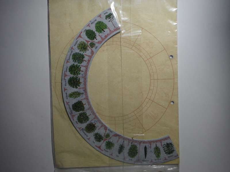 Learn & Understand Astrology : Issues 1-17 and Issues 31-34 with Binder