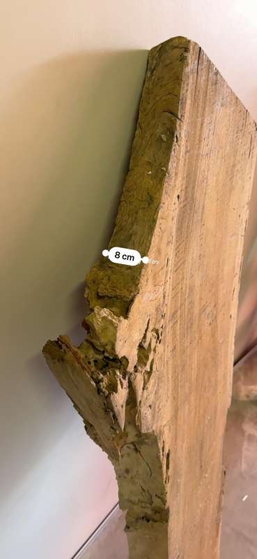 Slab of wood