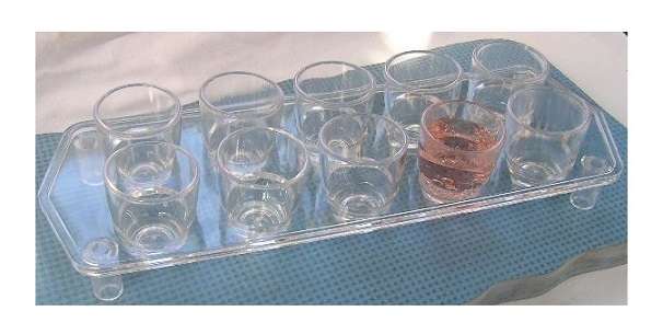 Holy Communion Tray Plastic 10 Hole Tray with 10 Plastic Cups (27 cm x 9 cm)