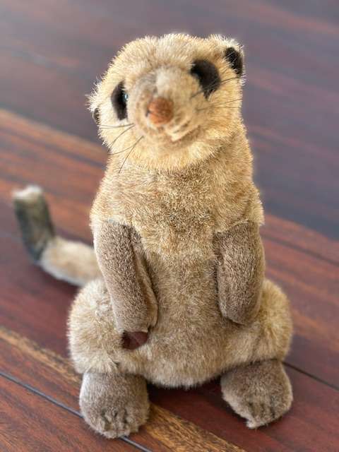 Meerkat Plush Toy