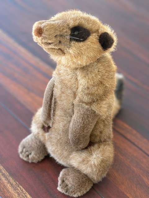 Meerkat Plush Toy