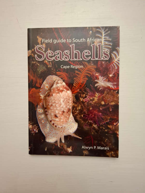 Field Guide to South African Seashells: Cape Region