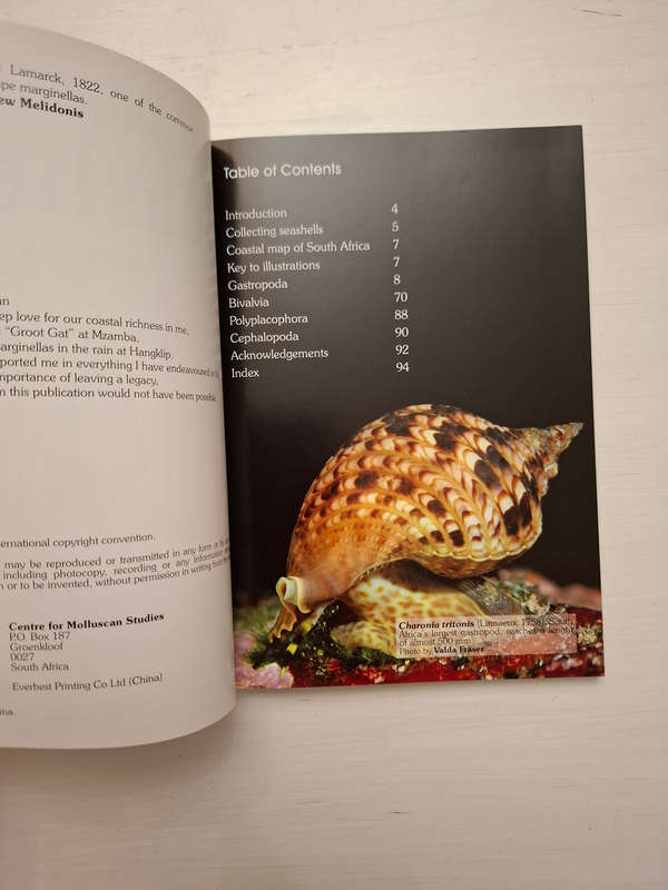 Field Guide to South African Seashells: Cape Region