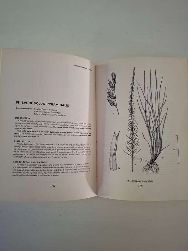 Common Veld and Pasture Grasses of Natal