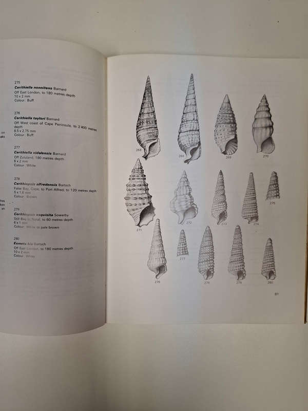 Sea-Shells of Southern Africa: Gastropods (Brian Kensley)