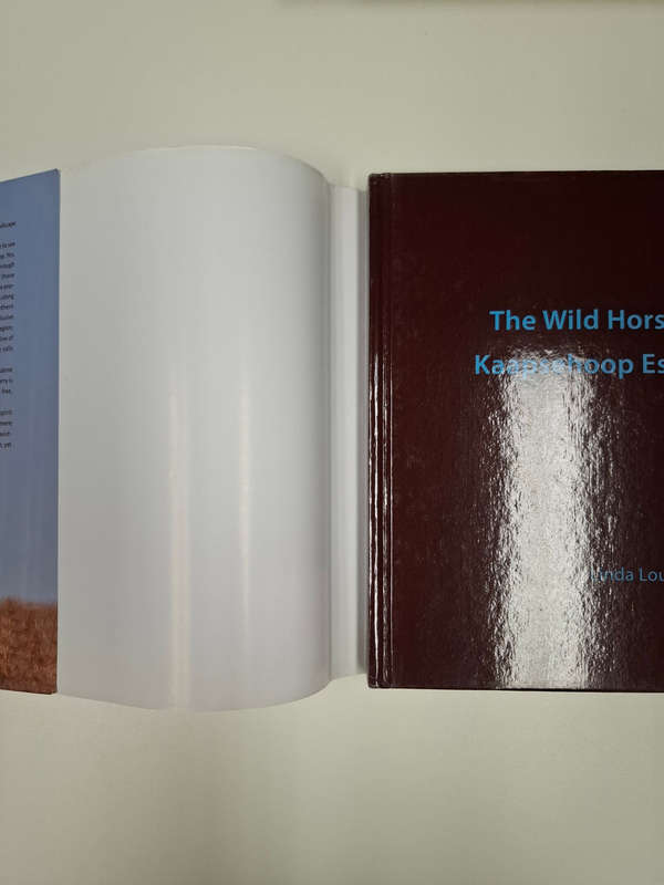 The Wild Horses of the Kaapsehoop Escarpment (Linda Louw)