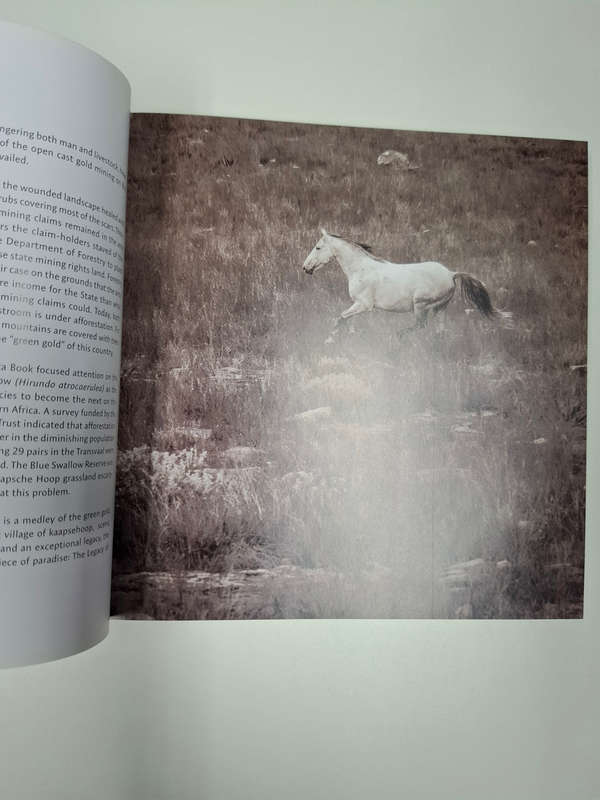 The Wild Horses of the Kaapsehoop Escarpment (Linda Louw)