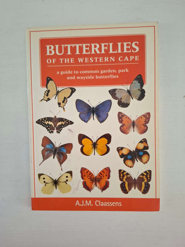 Butterflies of the Western Cape