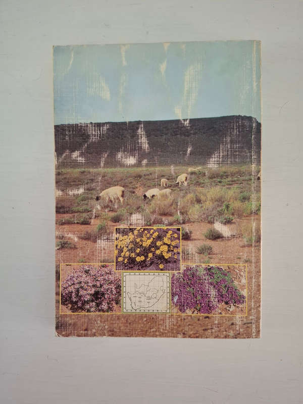Bossieveld: Weiplante van die Karoo en Karooagtige gebiede Grazing plants of the Karoo and Karoo-lik