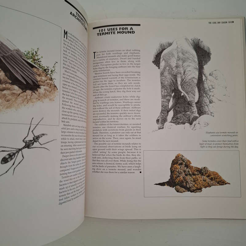 African Seasons: Wildlife at the Waterhole - Bone, Craig and Chambers, Alistair