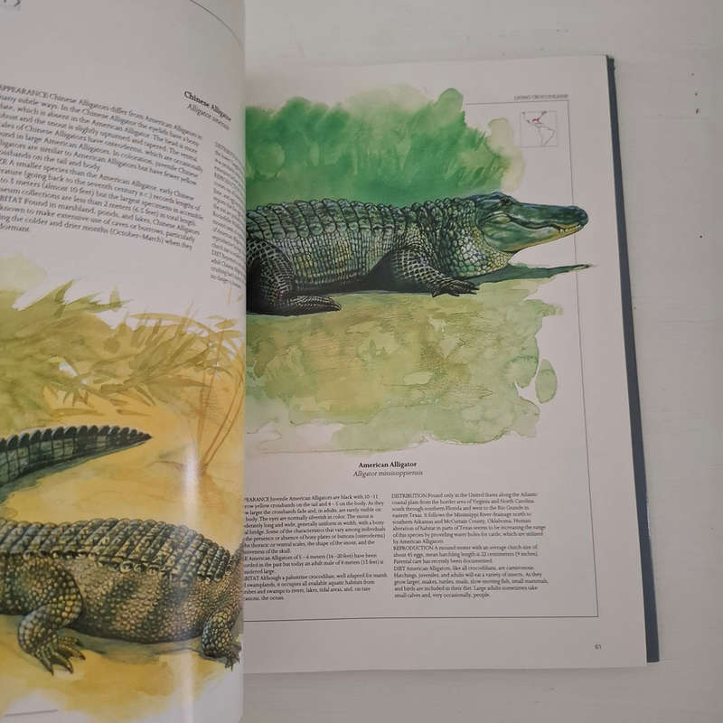Crocodiles and Alligators - Ross, Charles A.