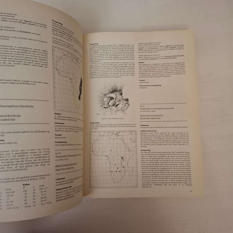 Die Soogdiere Van Die Suider-Afrikaanse Substreek (Reay H. N. Smithers)