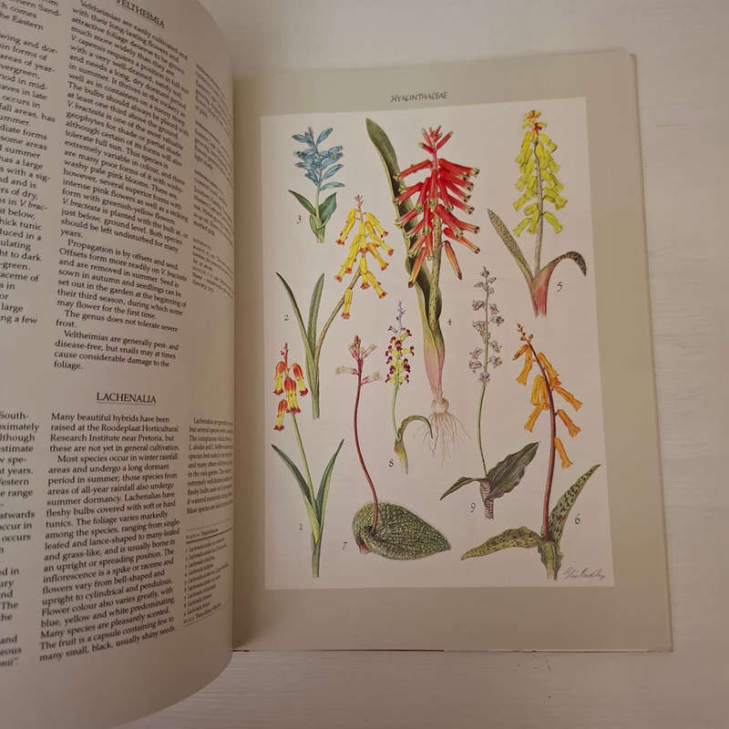 Bulbous Plants of Southern Africa: A Guide to Their Cultivation and Propagation