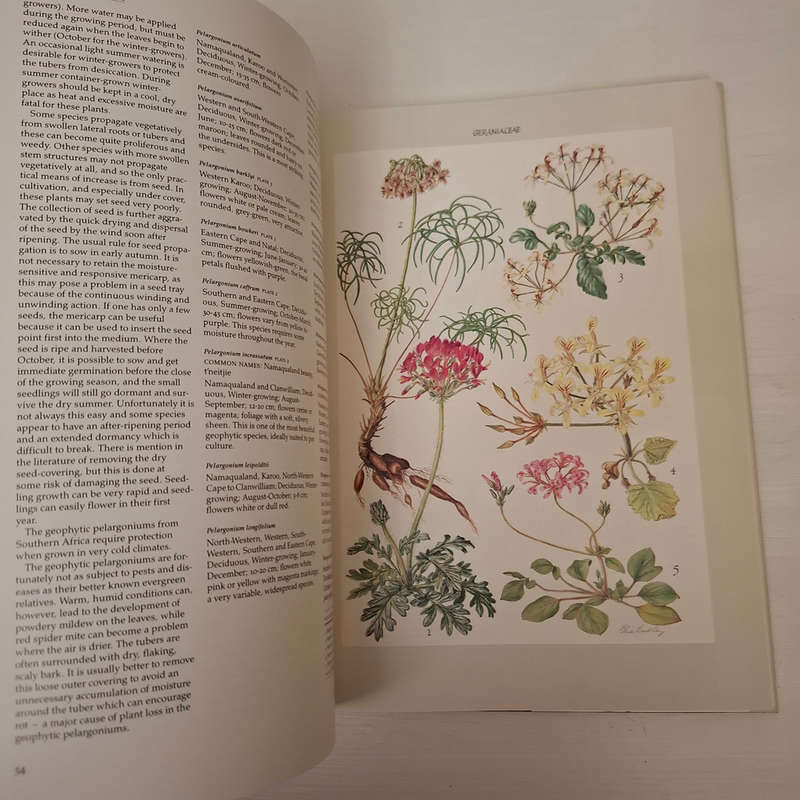 Bulbous Plants of Southern Africa: A Guide to Their Cultivation and Propagation