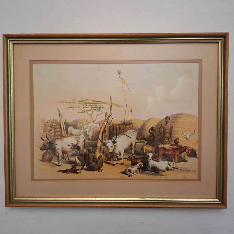 Zulu kraal on the Umgeni, with cattle and sheep  (George French Angus) Print