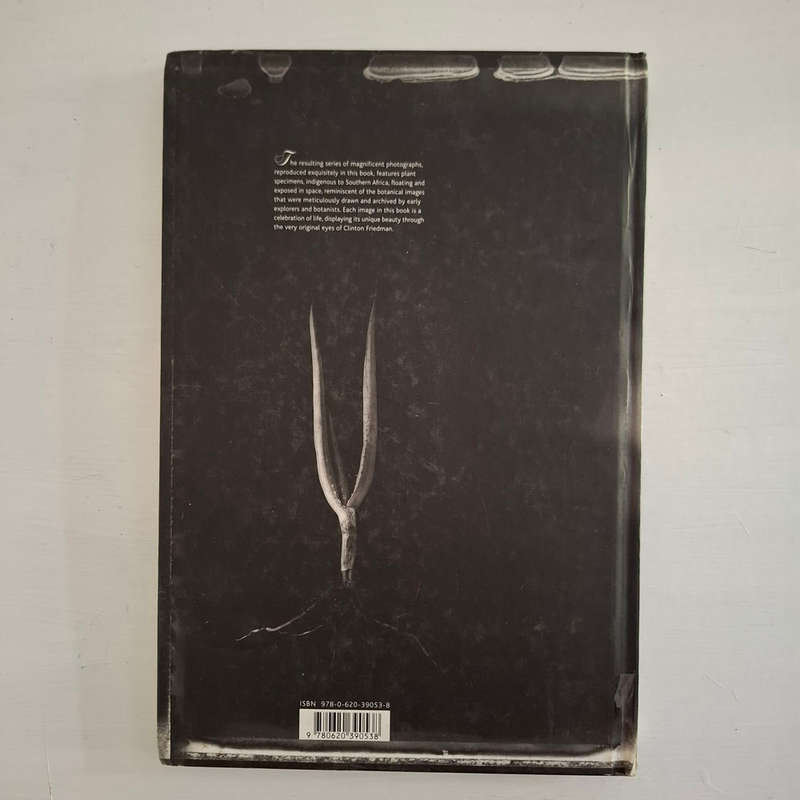 Subtraction  (Clinton Friedman)