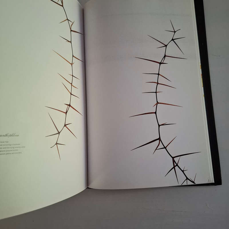 Subtraction  (Clinton Friedman)