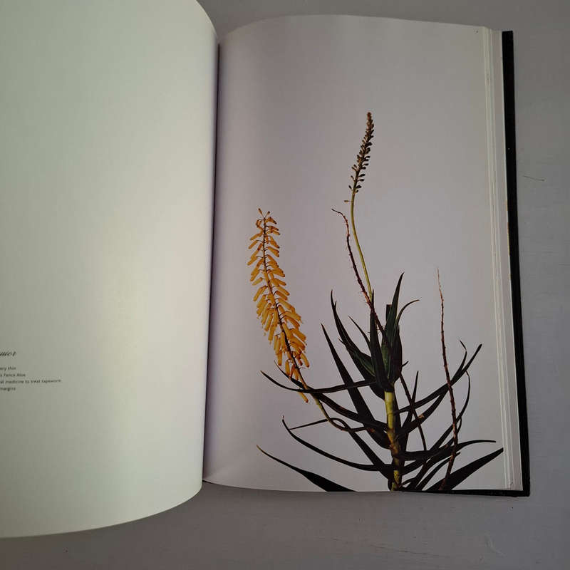 Subtraction  (Clinton Friedman)