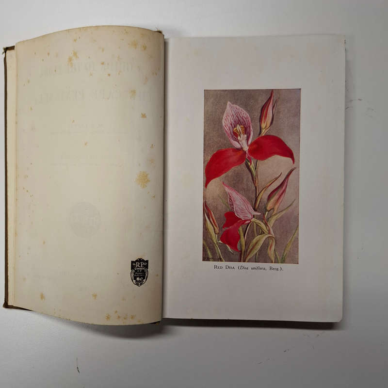 A Guide to the Flora of The Cape Peninsula (M.R. Levyns)