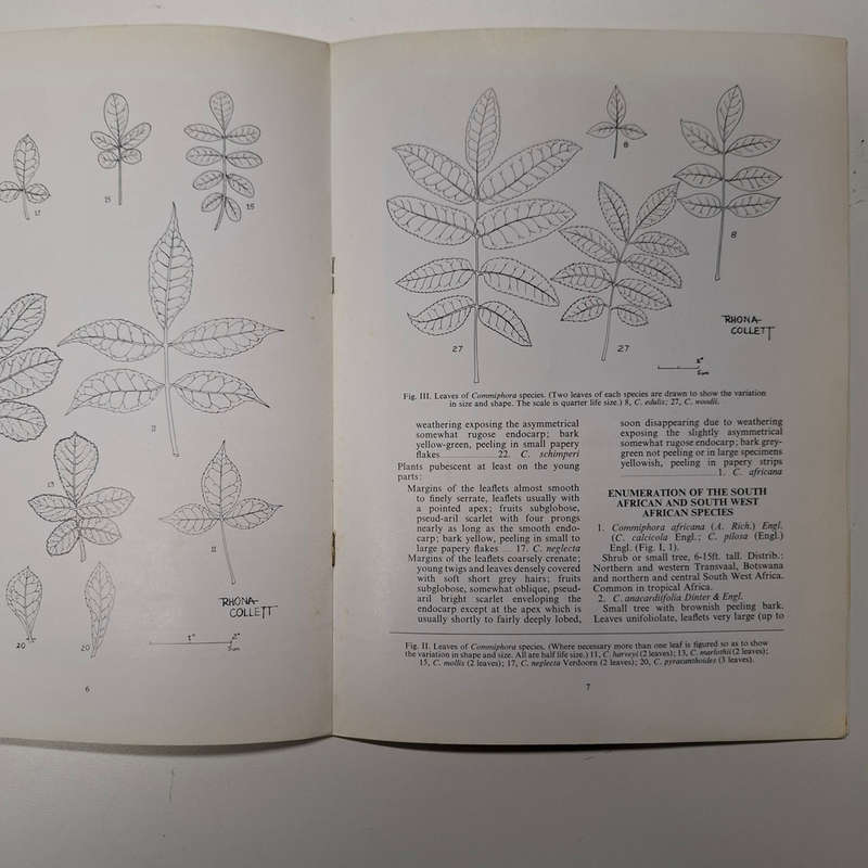 Some Observations on the Genus Commiphora in South and South-west Africa (B. De Winter)