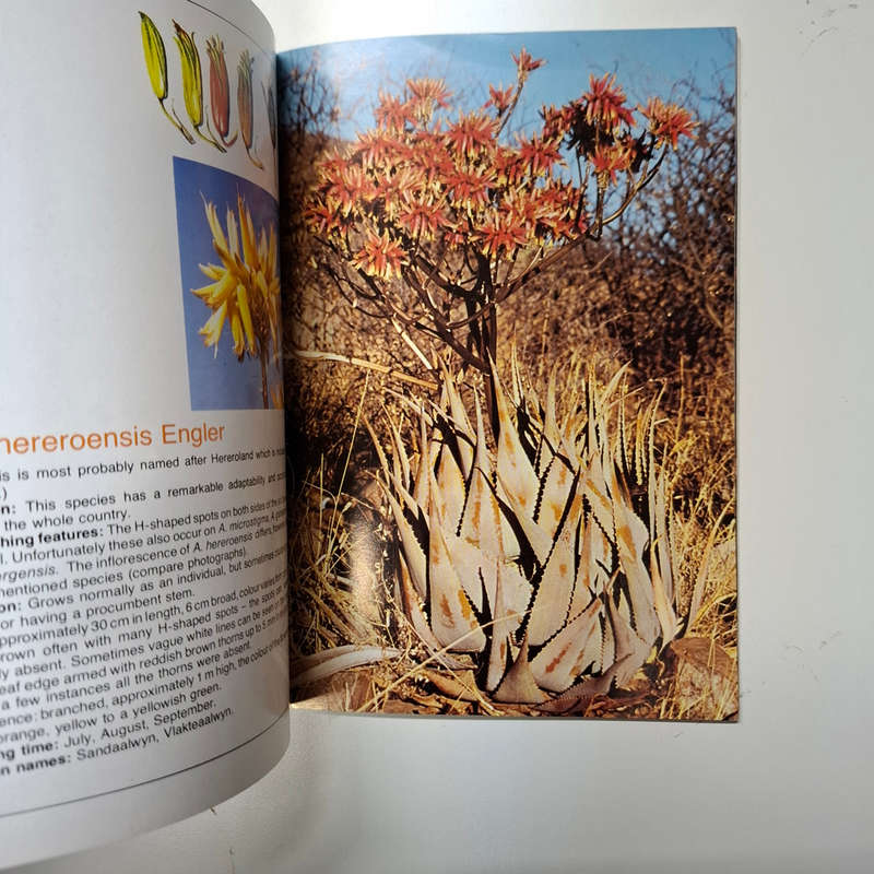 Aloes of South West Africa (W.J. Jankowitz)