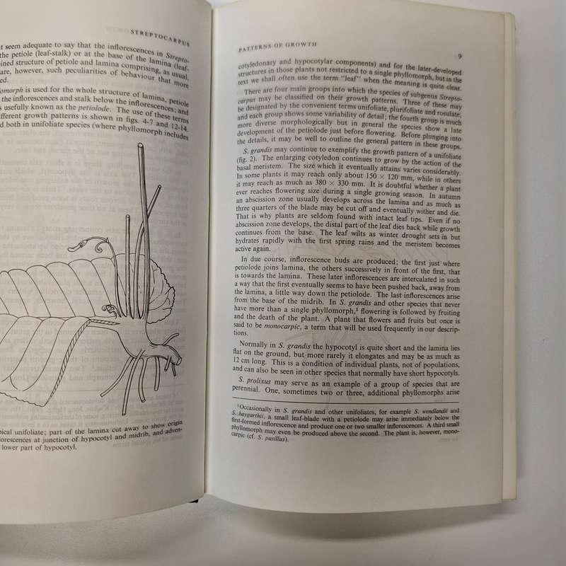 Streptocarpus: An African Plant Study (Hilliard, O. M., Burtt, B. L.)