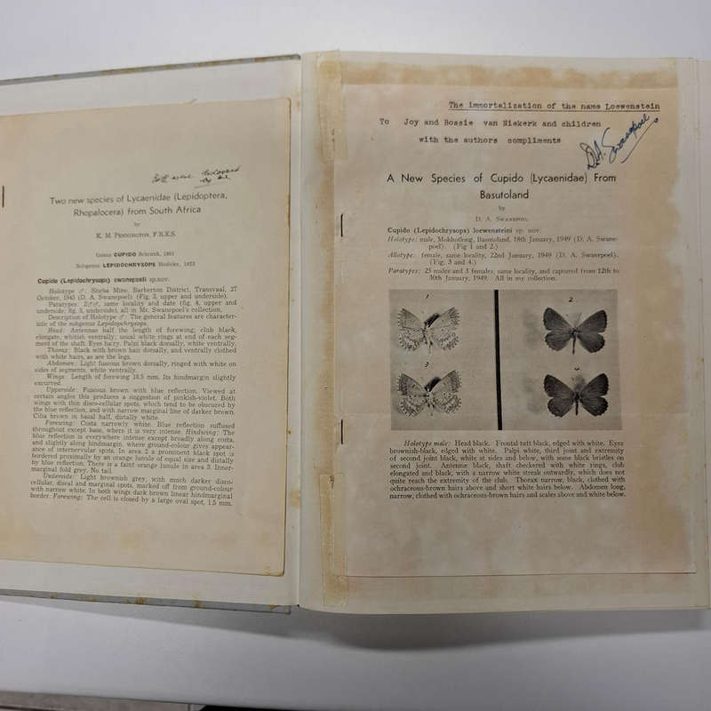 Butterflies of South Africa. Where, When and How they fly (D. A. Swanepoel)