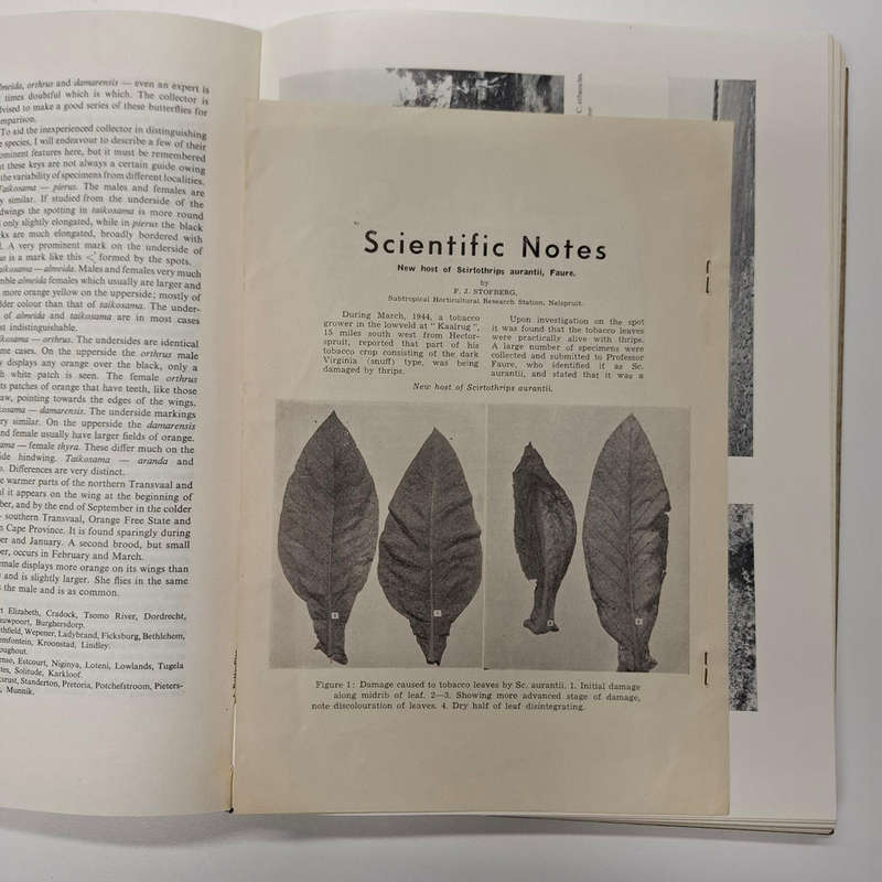 Butterflies of South Africa. Where, When and How they fly (D. A. Swanepoel)